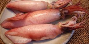 Hur man lagar bläckfisk att kött var anbud