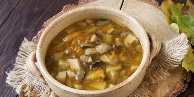 Soppa med färska porcini-svampar
