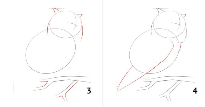 Hur man ritar en uggla