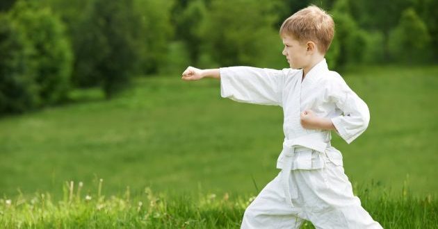 idrottsföreningar: Karate