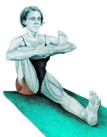 Anatomi stretching: hållning halv sittande duva