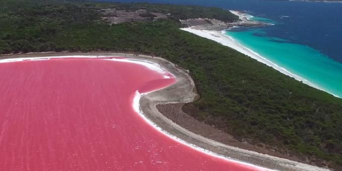Otroligt vacker plats: Rose Lake Hillier, Australien