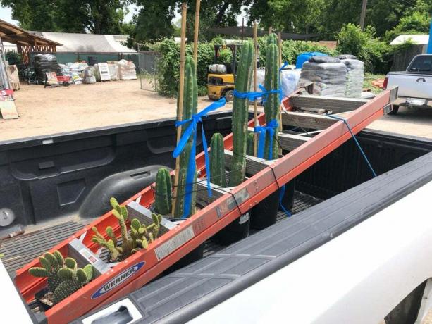 livshack för transport av blommor