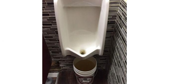 Design av restauranger: pissoar i toaletten