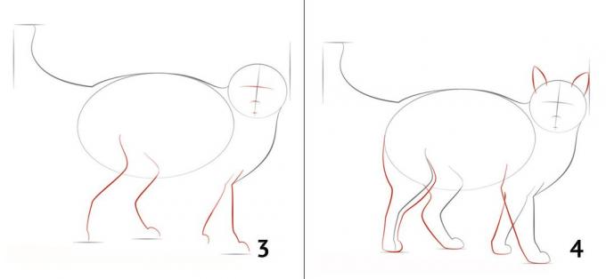 Hur man rita en katt