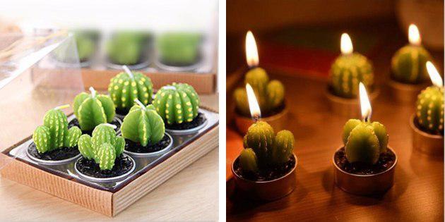 Ljus, kaktusar
