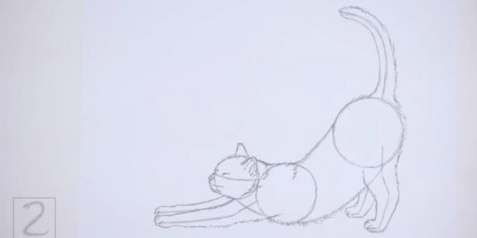 Rita shorstku längs ryggen och magen av en katt. måla på svansen