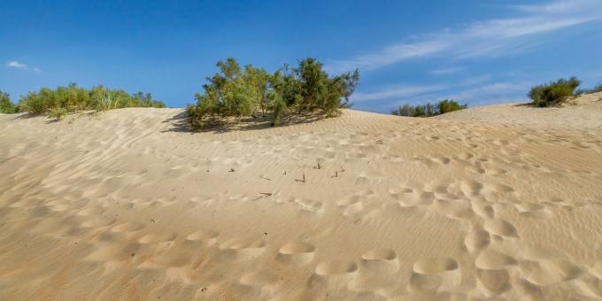 Sevärdheter Anapa: sanddyner i Dzhemet