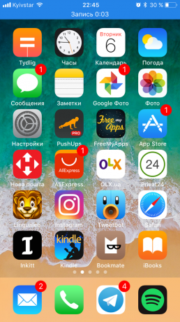 iOS 11: Entry Screen