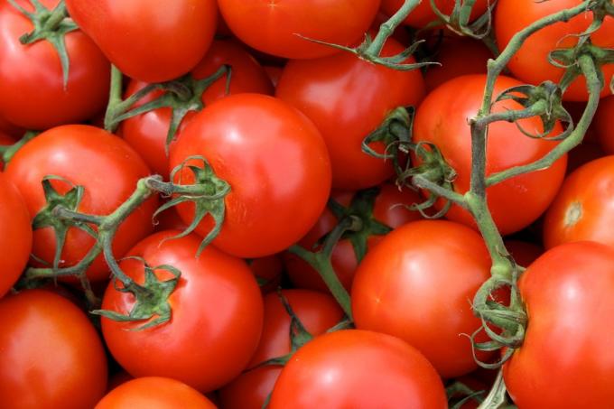 användbara produkter: tomater