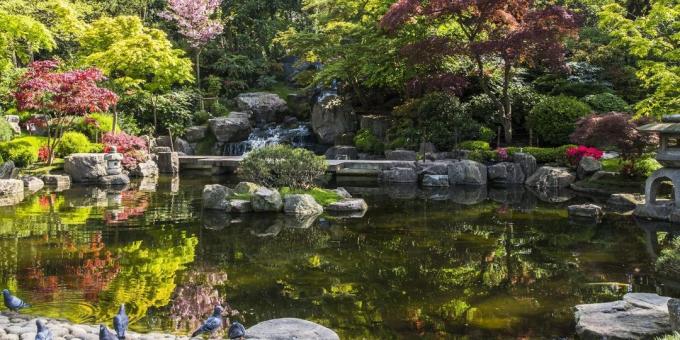 Att se i London: Japanska Kyoto Garden i Holland Park