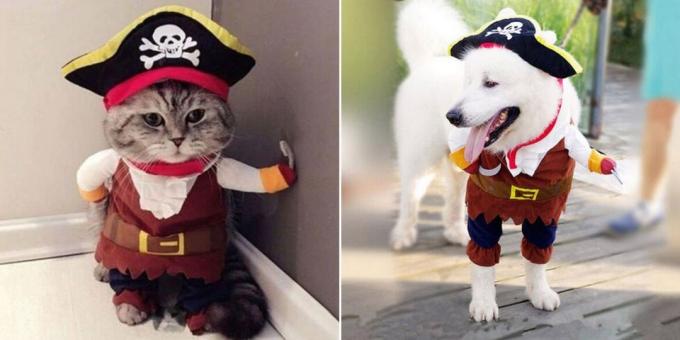 Nyår kostymer för hundar och katter: Fluffy Pirate