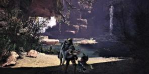 Granskning av Monster Hunter: World - hardcore spel om jakt monster