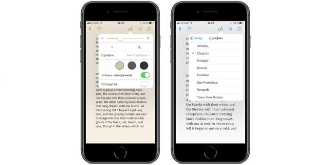 iBooks på iPhone och iPad: inställning layout