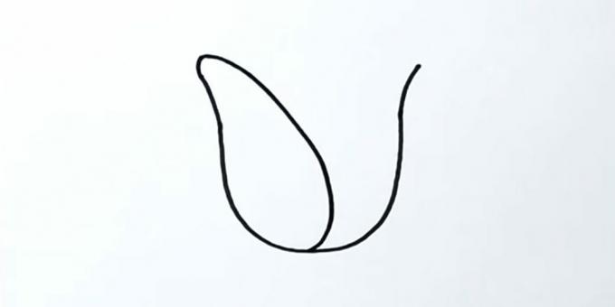 Hur man ritar en tulpan: rita vänster kronblad