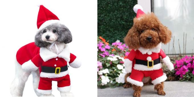 Christmas kostymer för hundar woofing Santa