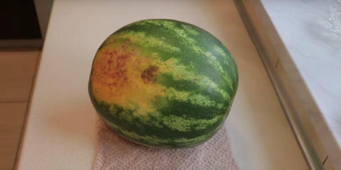 Hitta en vattenmelon med gula fläckar