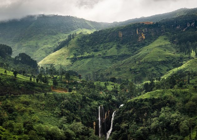 var att gå i höst: Sri Lanka