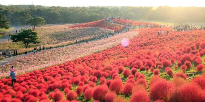 Hitachi, Japan