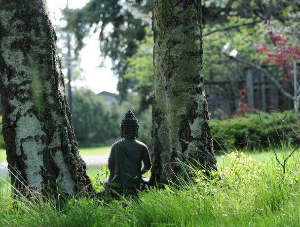 Ångestsyndrom kan erövras genom meditation
