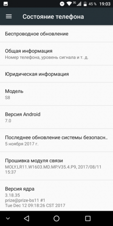 VKworld S8: telefonens status