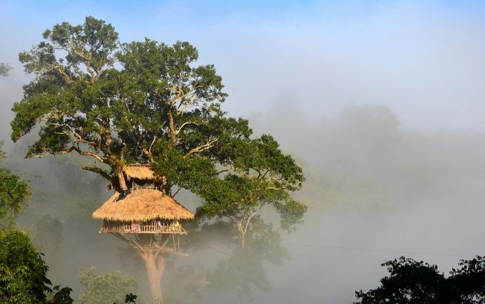 Bokeo naturreservatet, Laos