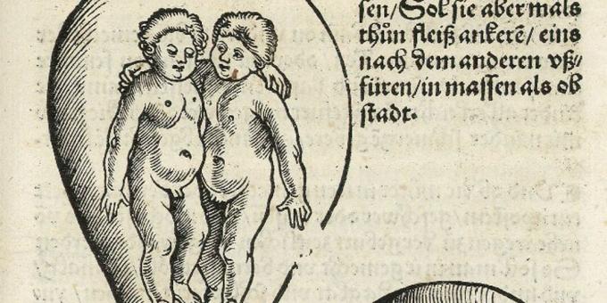 Barn från medeltiden: Tvillingar i livmodern, Eucharius Rodion