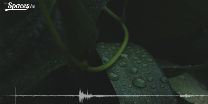 Binaural ljudet av regn för koncentration