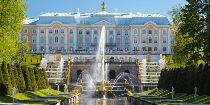 Semester i Ryssland 2020: Leningradregionen
