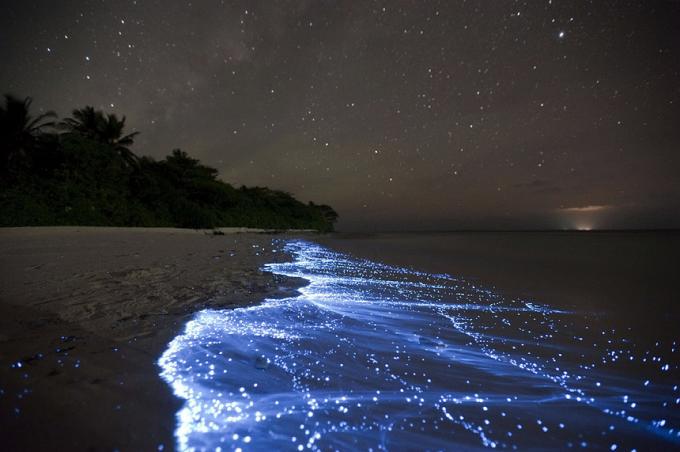 Bioluminescent Beach - Vaadhoo, Maldiverna bästa stränder