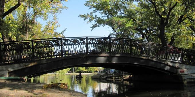 Sevärdheter i Saratov: Stadspark för kultur och vila