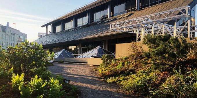 Organisation av arbetsplatsen. Roof Garden