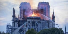 Game Assassins Creed Unity kommer att bidra till att återställa Notre-Dame de Paris