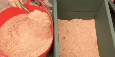 Hur man lagra morötter i lådor: Sätt in en trä- eller plastlåda om 2 cm av sand