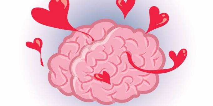 fakta om hjärnan: Kärlek