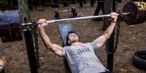 Hur man bygger muskler: en perfekt träningsprogram i gymmet