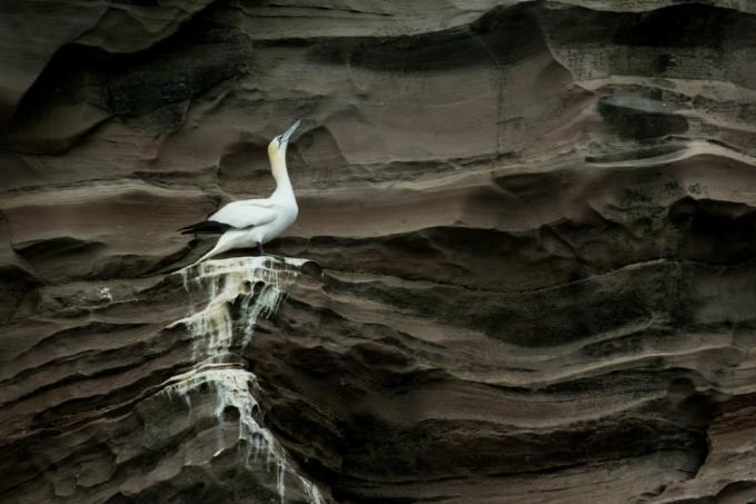 12 mest vackra bilder av naturen på vilken version av Earth Science Week 2019