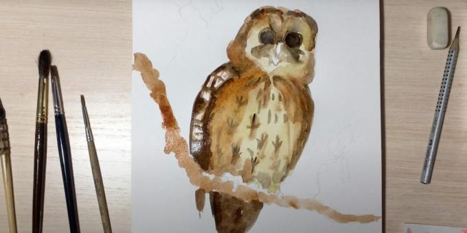 Hur man ritar en uggla: måla över en gren och gör fågeln ljusare