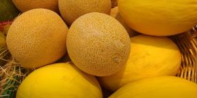 Hur man väljer en mogen melon och söt