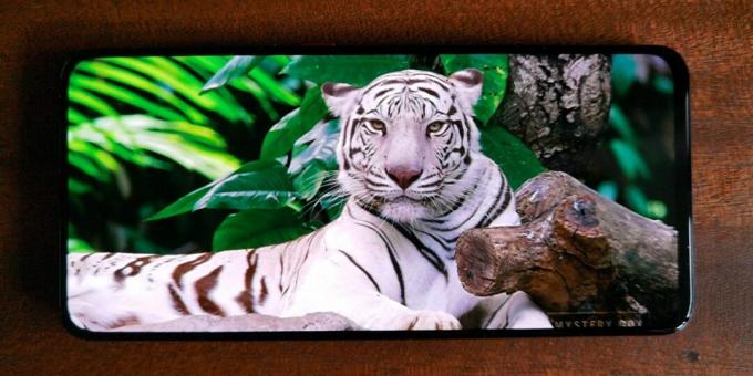 Xiaomi Poco F2 Pro har en Super AMOLED-skärm