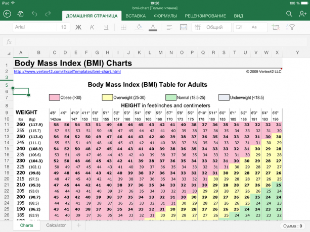 Excel-kalkylator för att beräkna body mass index