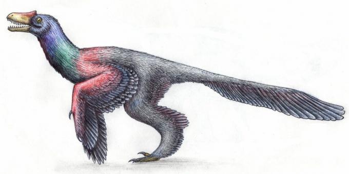 Forntida myter: dinosaurier såg ut som reptiler