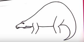30 sätt att rita olika dinosaurier