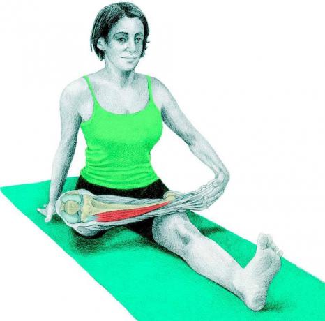 Anatomi stretching: duva sittställning