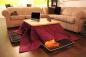 Värmer i japanska med en varm bord kotatsu