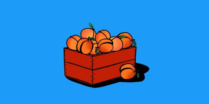 Logiska problem: om persikor