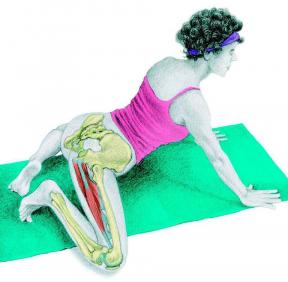 Stretching Anatomy i bilder: övningar för hela kroppen