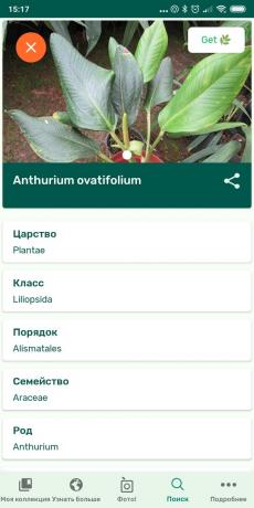 Identifiera olika typer av krukväxter som använder PlantSnap