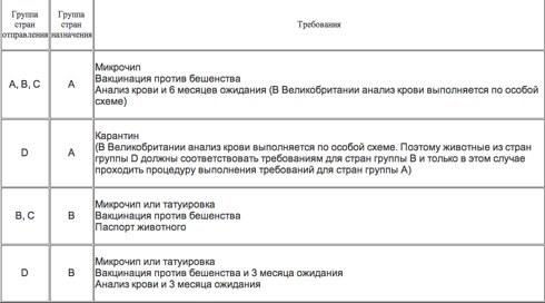 Regler för transport av djur, hur man reser med husdjur, layfhaker, lifehacker.ru