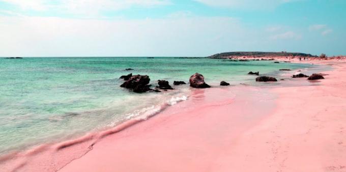 Otroligt vacker plats: en rosa strand på Sardinien, Italien